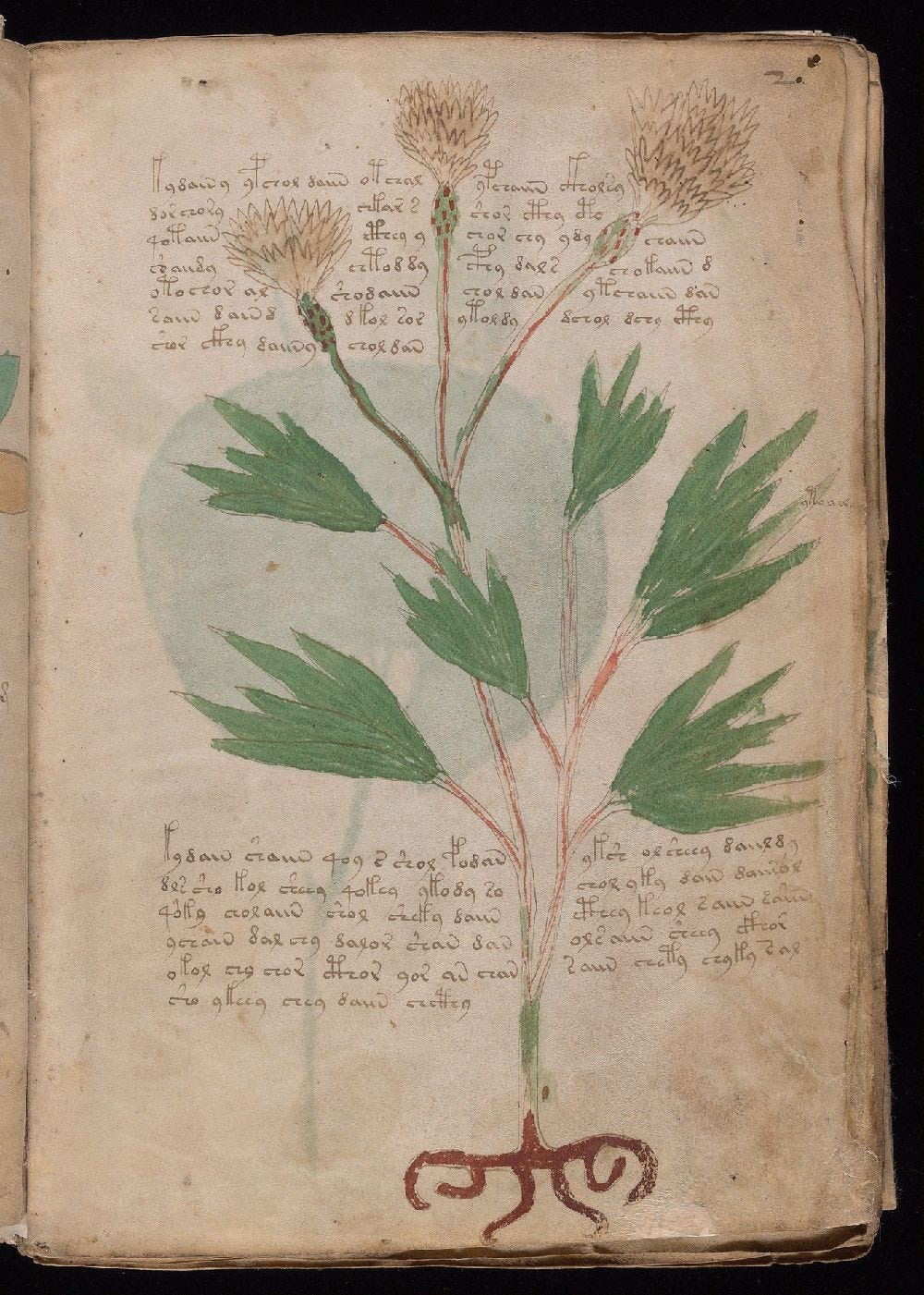 Manuscrito Voynich, f. 2r Manuscrito Voynich, f. 2r