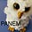 Owls Molloy's avatar