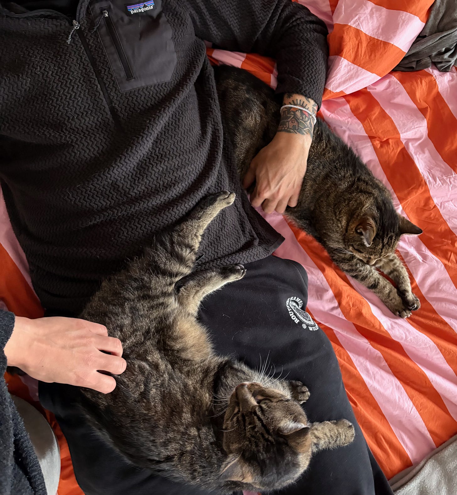 The author with his two cats on his lap
