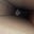 Artiechoke's avatar