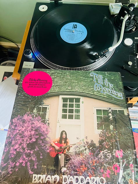 REVIEW: Brian D'Addario—Till The Morning (2025)