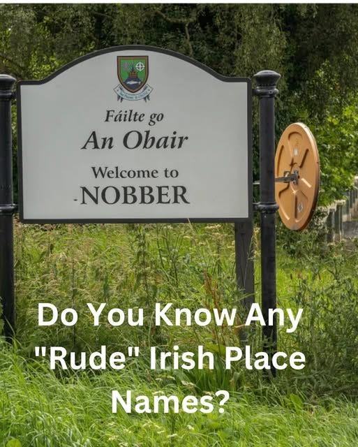 May be an image of text that says "@+ 金 Fáilte Fáiltego go An Obair Welcome to -NOBBER Do You Know Any "Rude" Irish Place Names?"