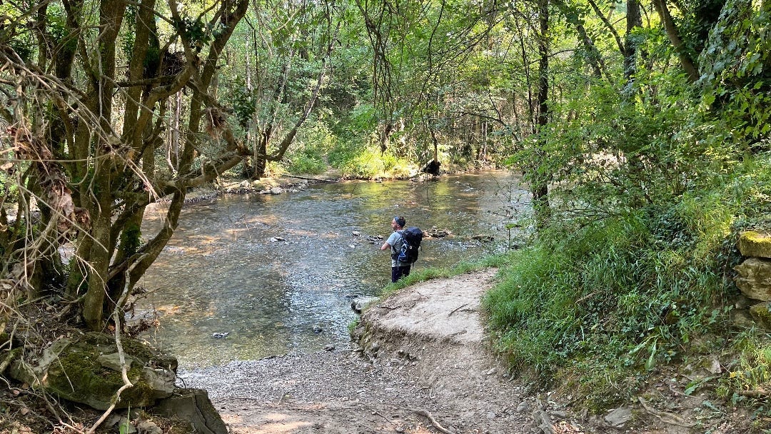 A man with his backpack standing on the edge of a river in a forest.