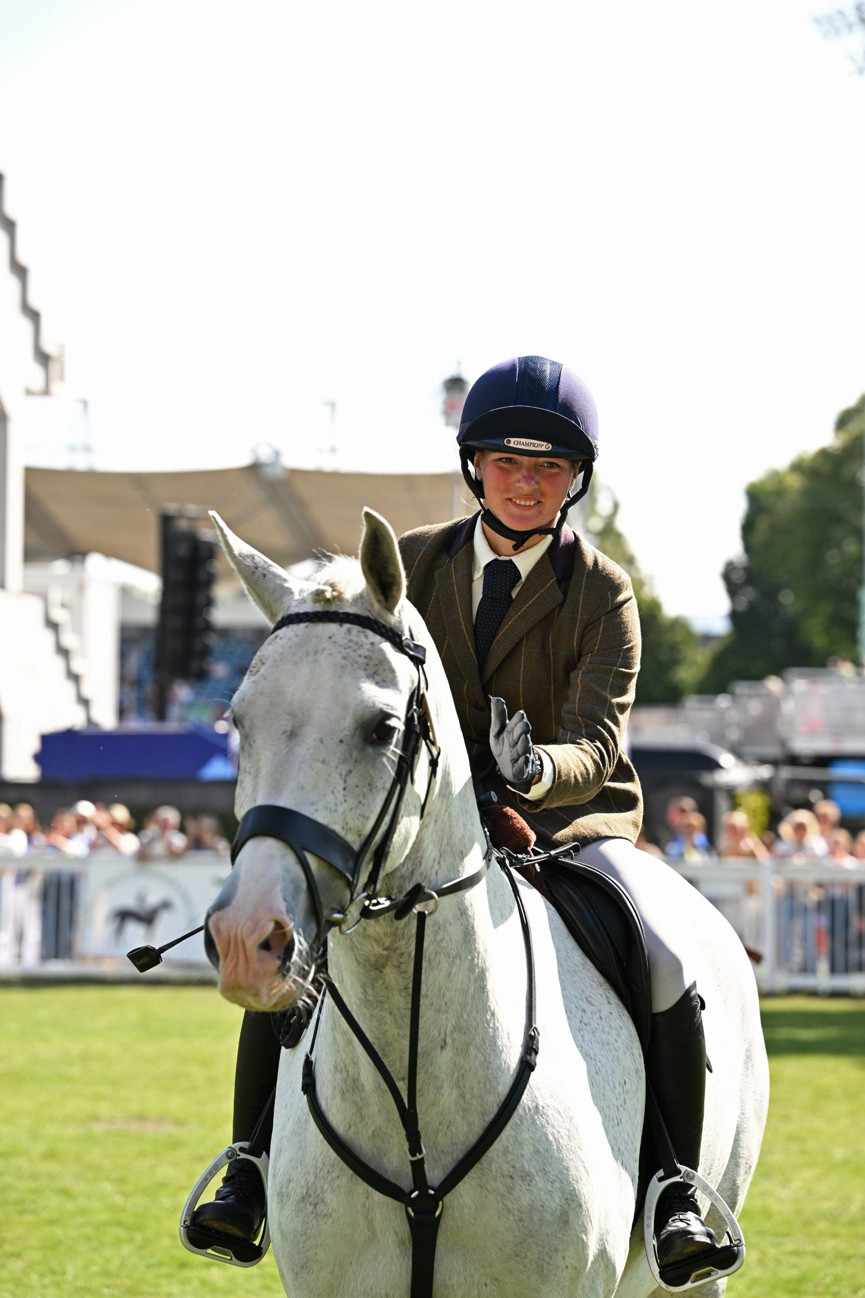 Flexco Black Dahlia 0.08-in T x 4-in W x 1440-in L Vinyl Wall Base  FC40C51P001 at Lowes.com, image size:1706x2560