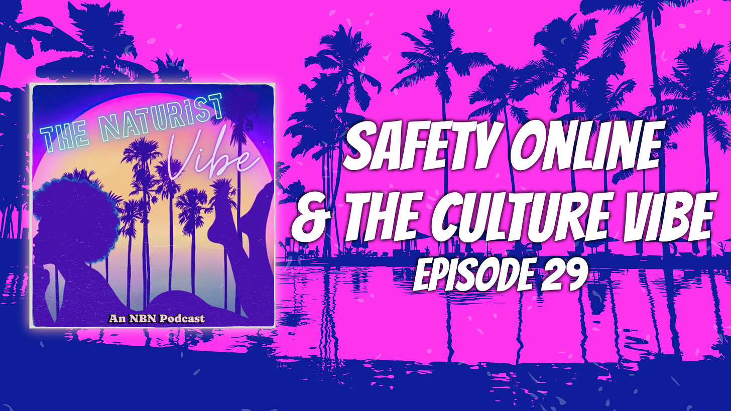 A promotional graphic for "The Naturist Vibe" podcast, featuring a vibrant pink and blue retro-style background with silhouetted palm trees and water reflections. Large white text on the right reads "SAFETY ONLINE & THE CULTURE VIBE, EPISODE 29." On the left is the square podcast cover art showing a profile silhouette against a sunset, with the text "An NBN Podcast" at the bottom.