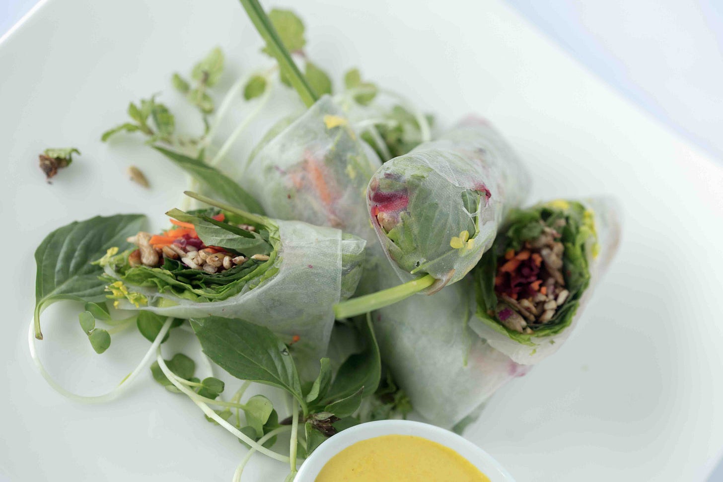 healthy spring rolls