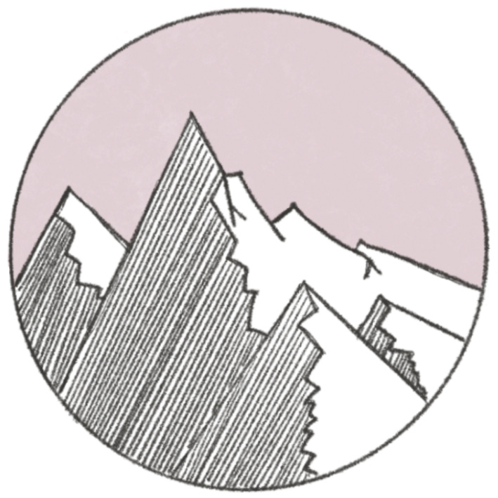 Substack profile picture for @surface