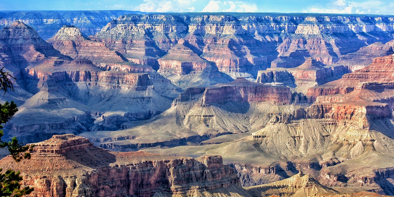 Transformed Into His Image