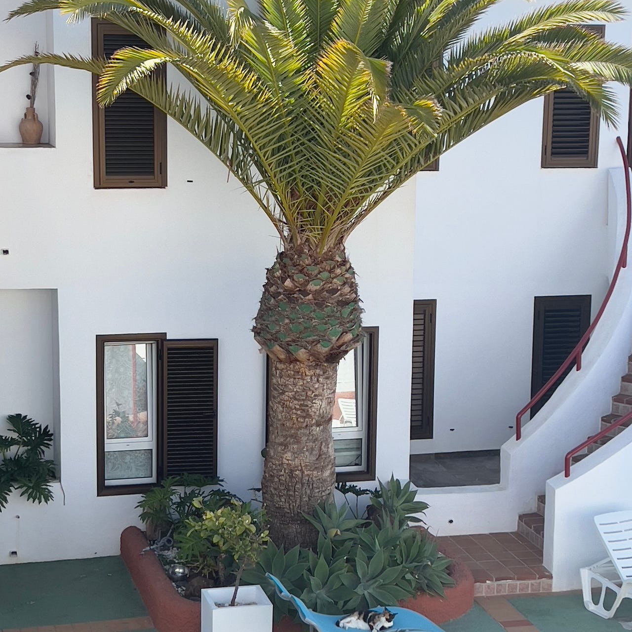 everything is everything