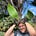 Adam M. Smith's avatar