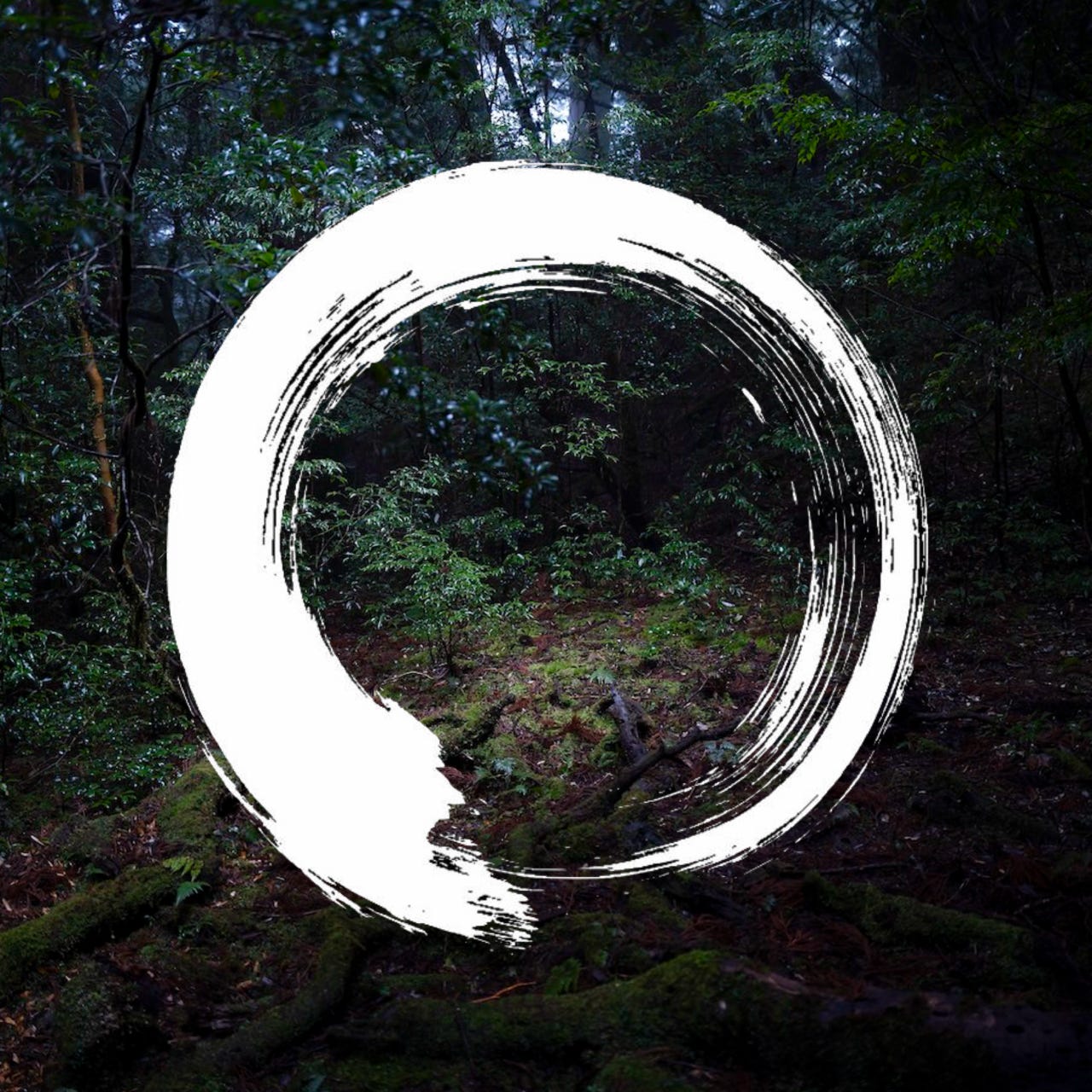 Kodama – Echoes of the Living