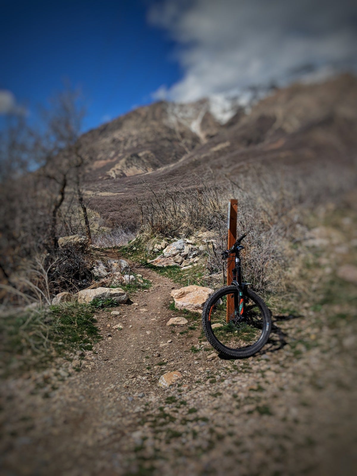 Ogden Enduro