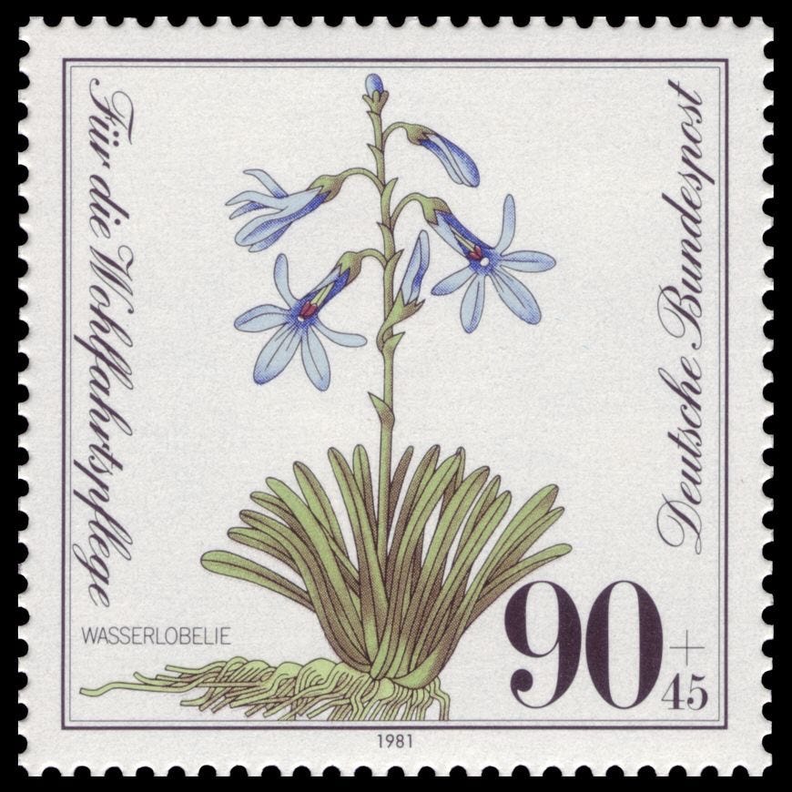 cartas com cheiro de chuva