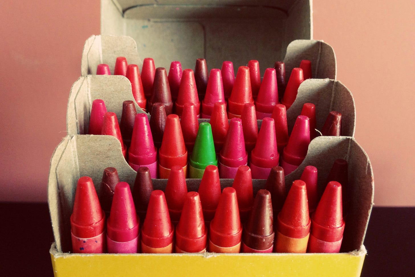 Crayon Box with all red crayons, one green