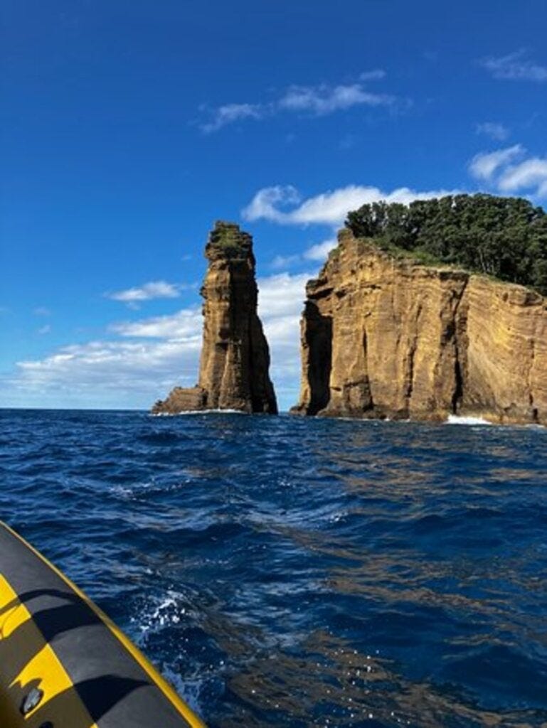 Whale watching near Villa Franca do Campo Azores