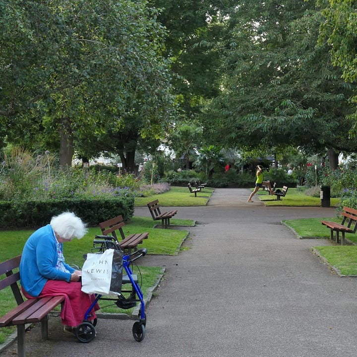 Trees, flowers and park benches.