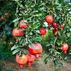 Staying stubborn in your creative longings