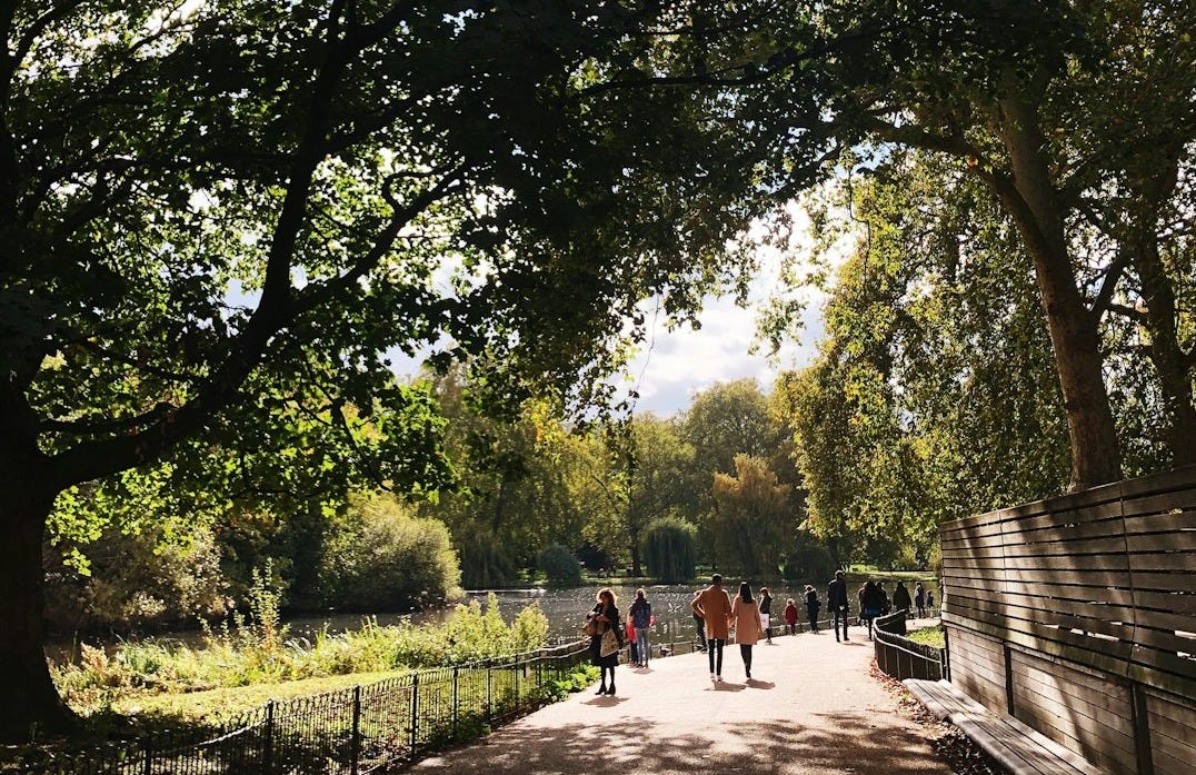 people walking on park during daytime