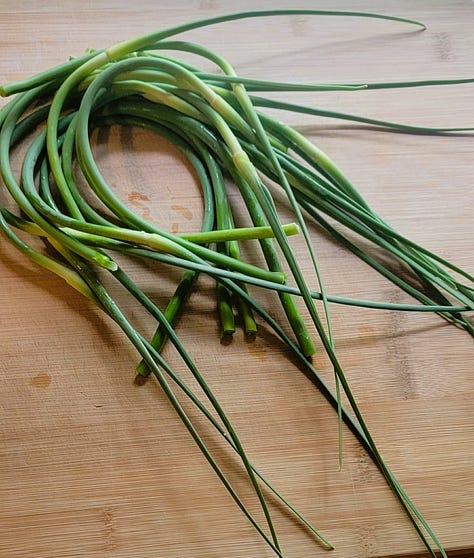 Left to right: garlic scapes, Autumn Frost squash, and green garlic.