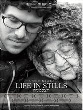 Life in Stills