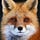 X avatar for @Underfox3