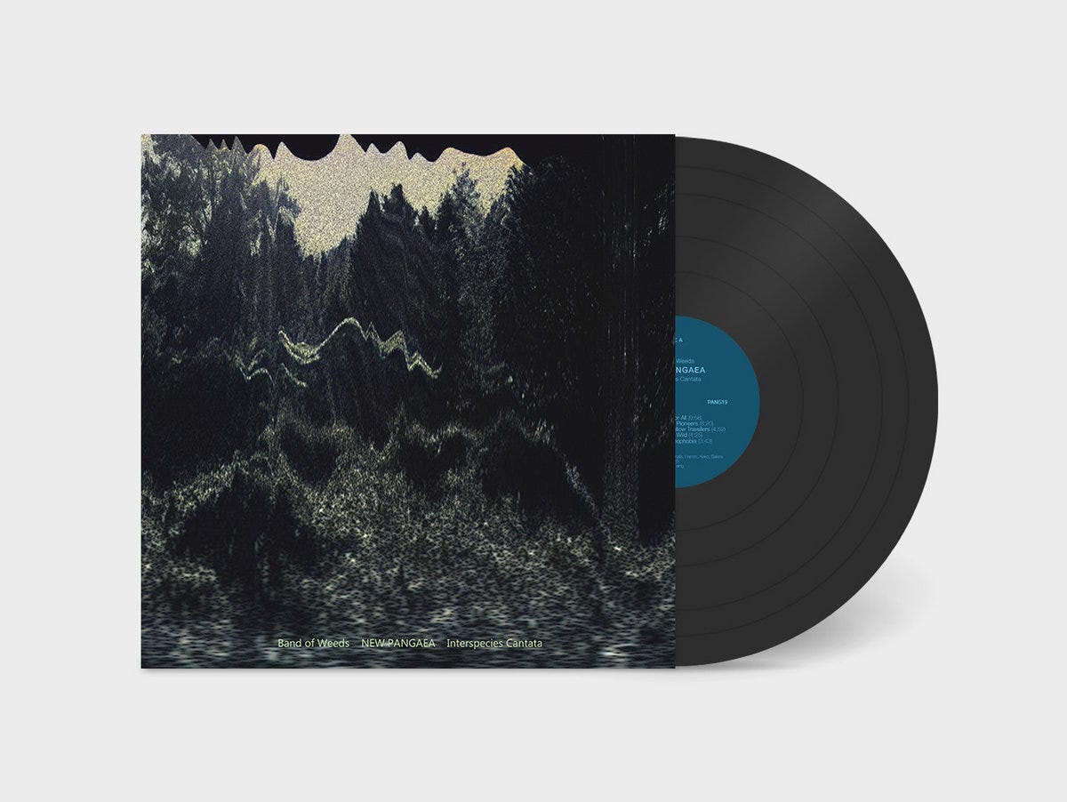 Band of Weeds, New Pangaea, (Vinyl/LP, Digital album), PANG19, Superpang, 2025