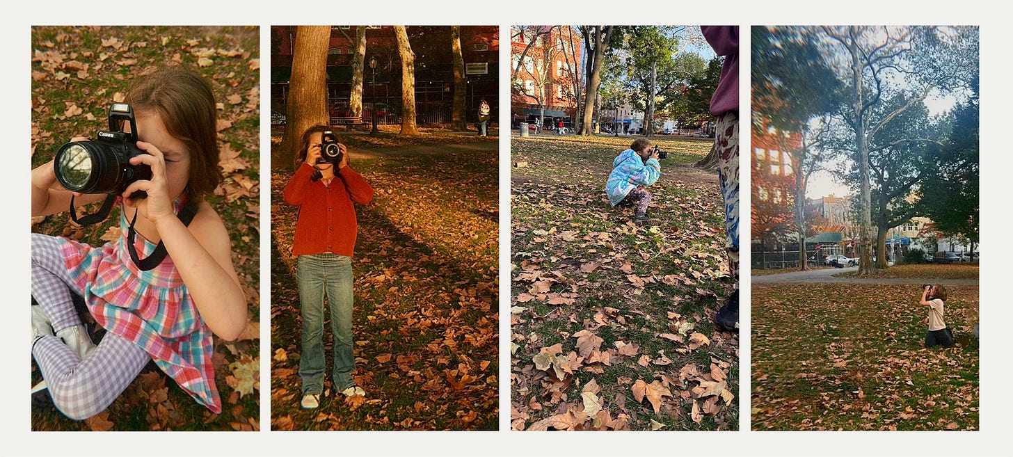 Four young artists photograph trees in McGolrick Park using DSLR cameras, fall leaves on the ground Four young artists photograph trees in McGolrick Park using DSLR cameras, fall leaves on the ground