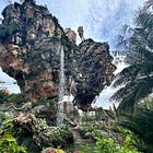 Animal Kingdom Park Guide