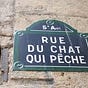 Rue du Chat-qui-Pêche's avatar