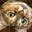 Judith Sanzo's avatar
