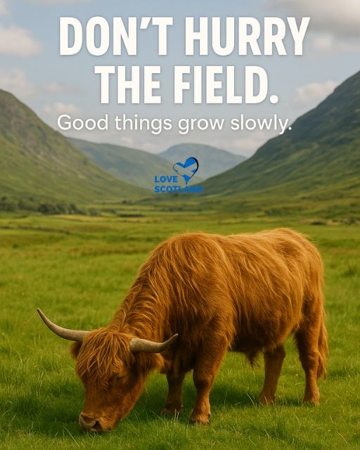 May be an image of animal, grass and text that says 'DON'T HURRY THE FIELD. Good things grow slowly. LOVE SCOTLAND'