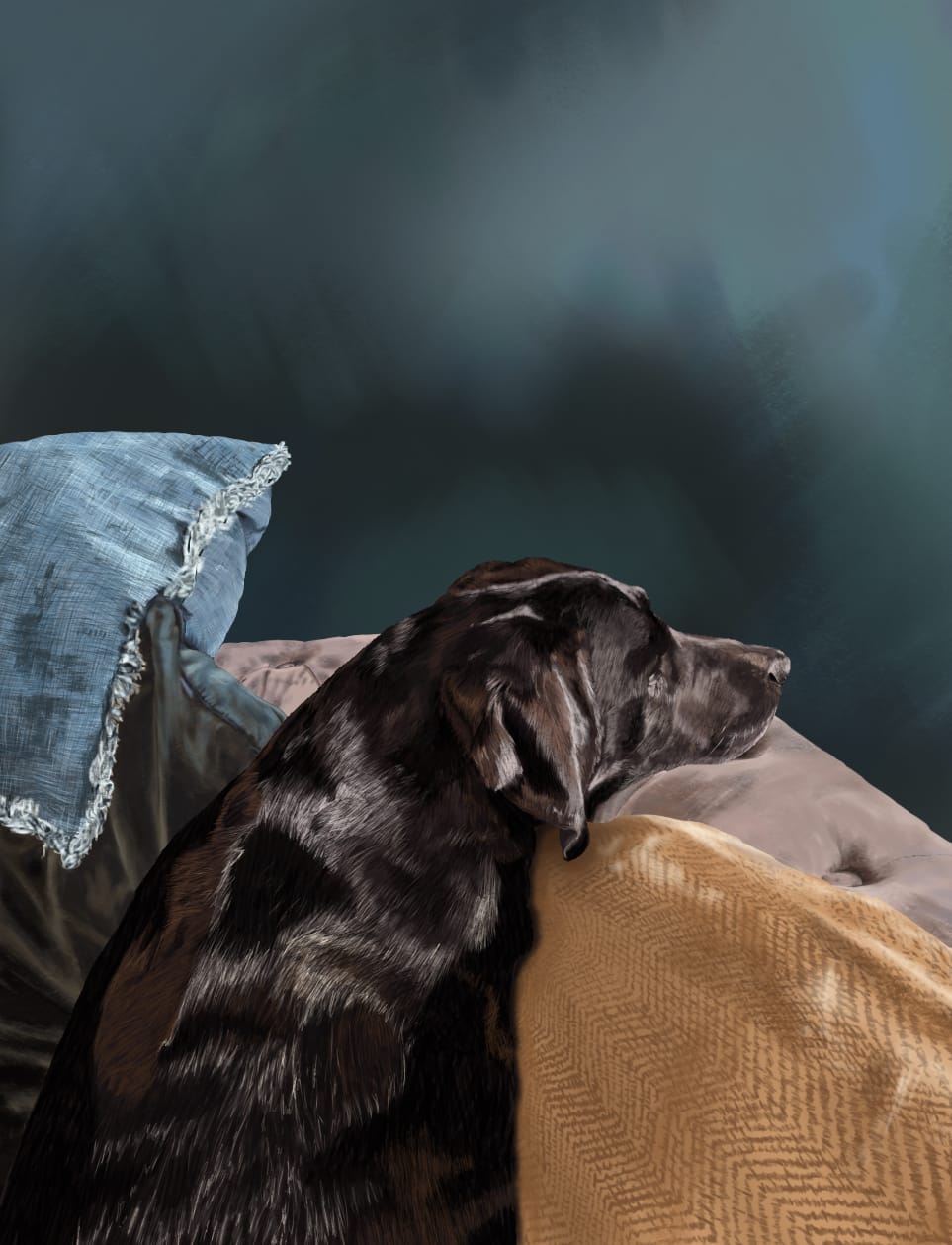 Image of a black labrador appearing dog resting with it's head on the arm of a chair, surround by pillows, in the sunlight.