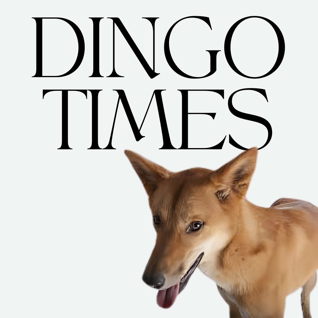 Dingo Times
