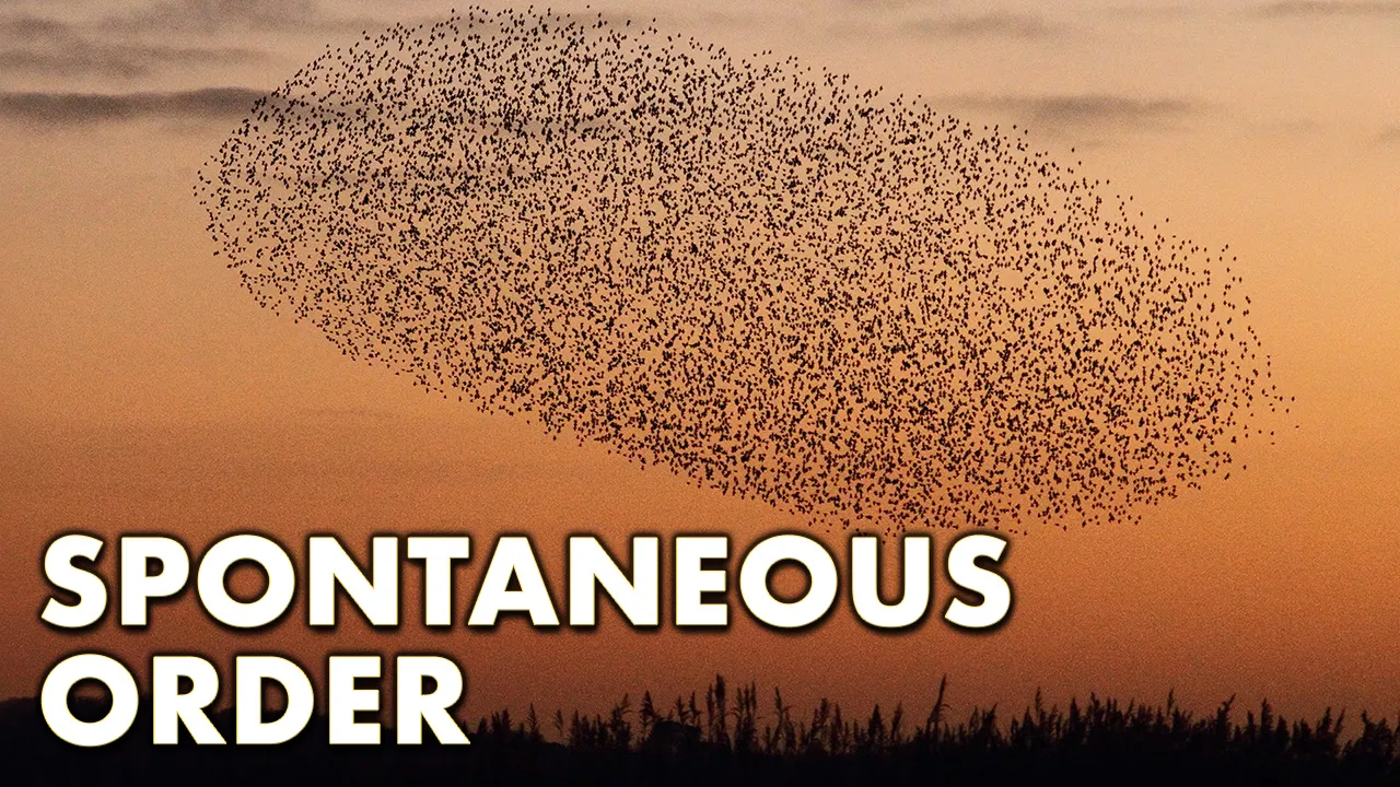 Eine kurze Einführung in die spontane Ordnung