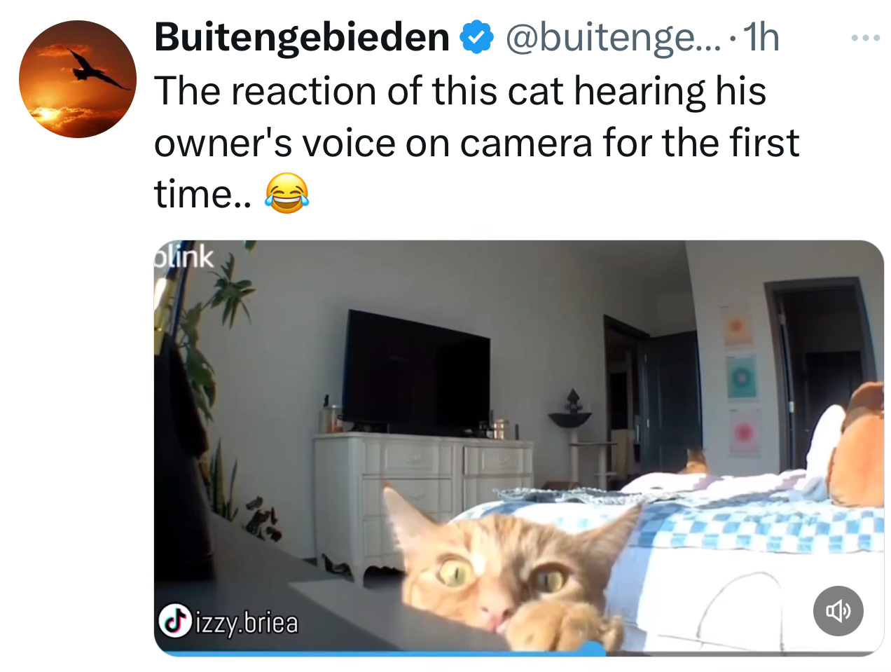 Image.heic Image.heic