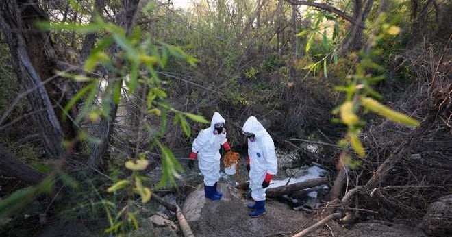 Sewage is making the air toxic, sickening thousands in California