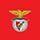 X avatar for @SLBenfica