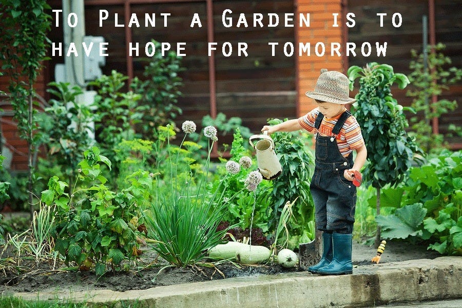 25 Reasons You Should Start a Garden in 2025