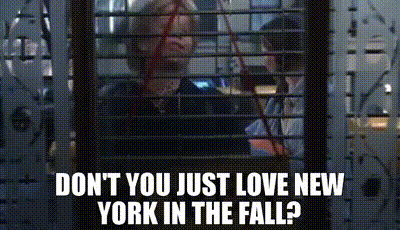 YARN | Don't you just love New York in the fall? | You've Got Mail (1998) |  Video clips by quotes | bca7af52 | 紗