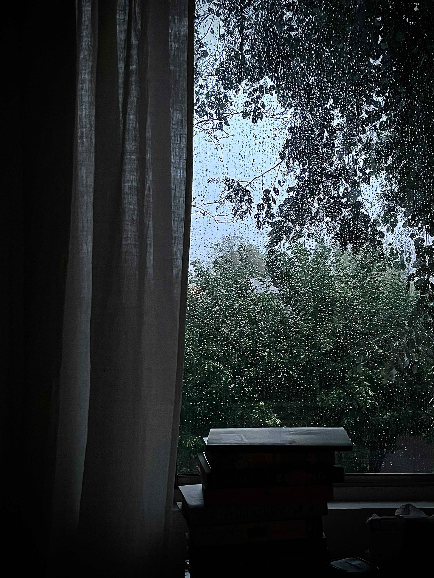 The view from a rainy window. In the foreground are a stack of books and a curtain; through the window are trees and a grey sky. The view from a rainy window. In the foreground are a stack of books and a curtain; through the window are trees and a grey sky.