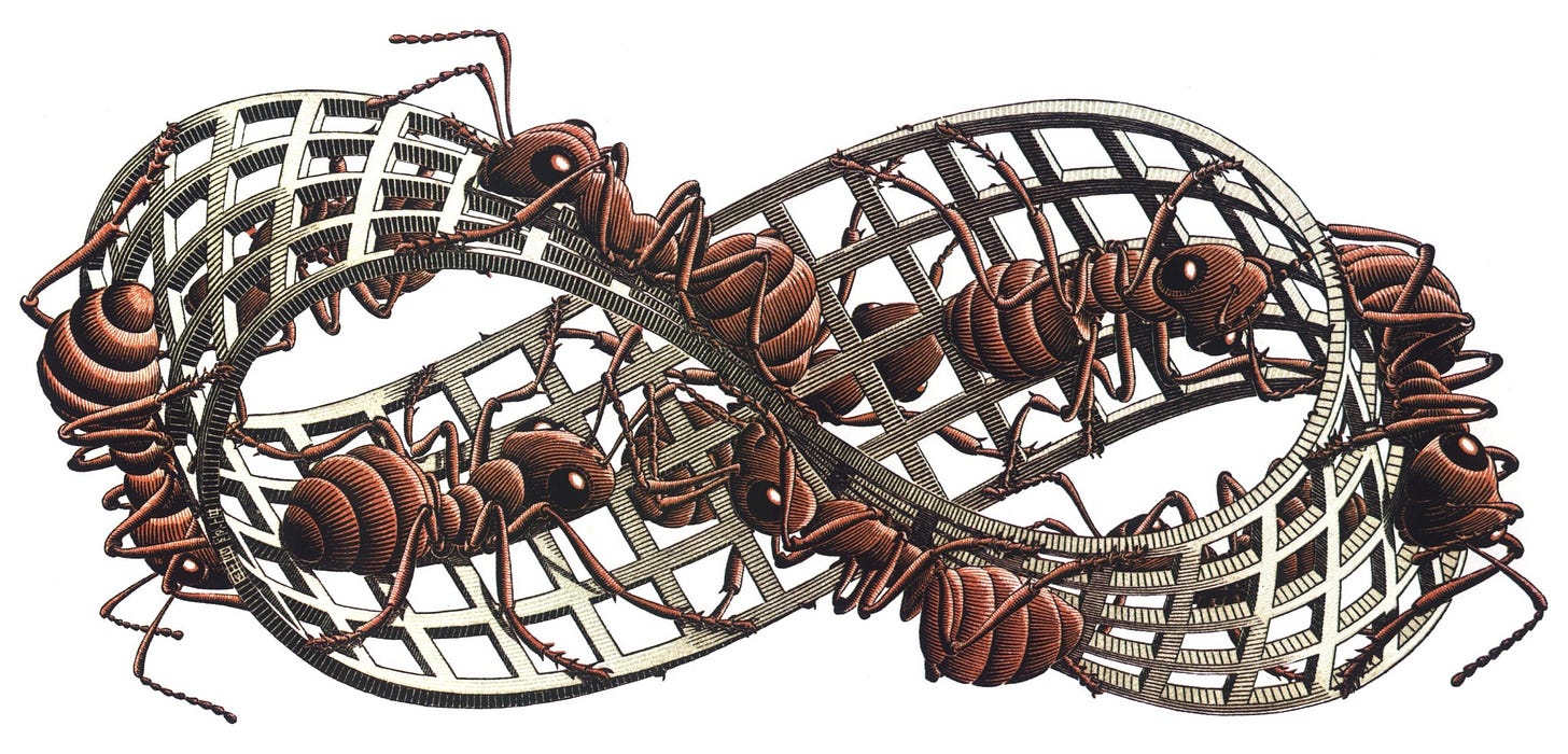 M.C. Escher, Möbius Strip II (Red Ants), 1963: red ants crawling along a twisted mesh band that has only one side M.C. Escher, Möbius Strip II (Red Ants), 1963: red ants crawling along a twisted mesh band that has only one side