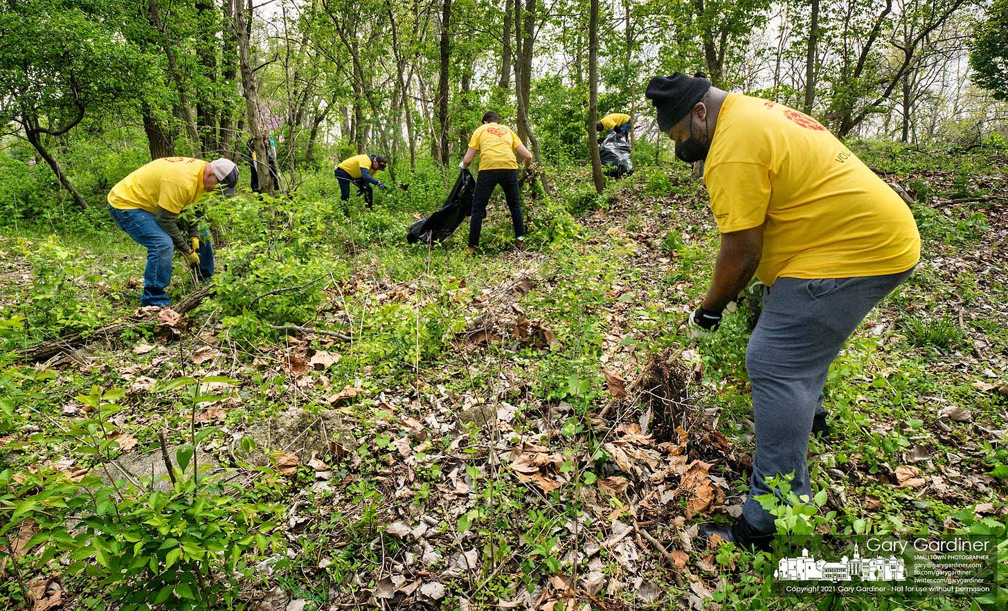 Volunteers from DHL remove invasive species honeysuckle and garlic mustard plants from a wooded section of Heritage Park. My Final Photo for April 23, 2021.