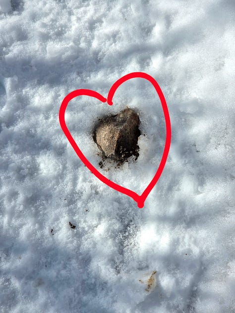 Ridgeline Open Space