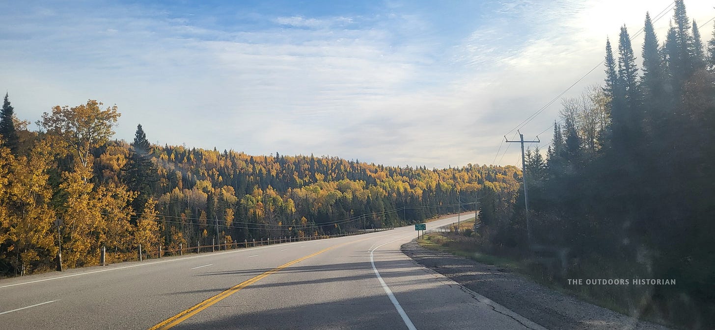 A two-lane paved highway curves through a forest of dark green conifers and vibrant yellow and gold fall foliage.