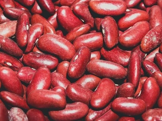 Fall superfoods Beans are fall superfoods that boost immune system