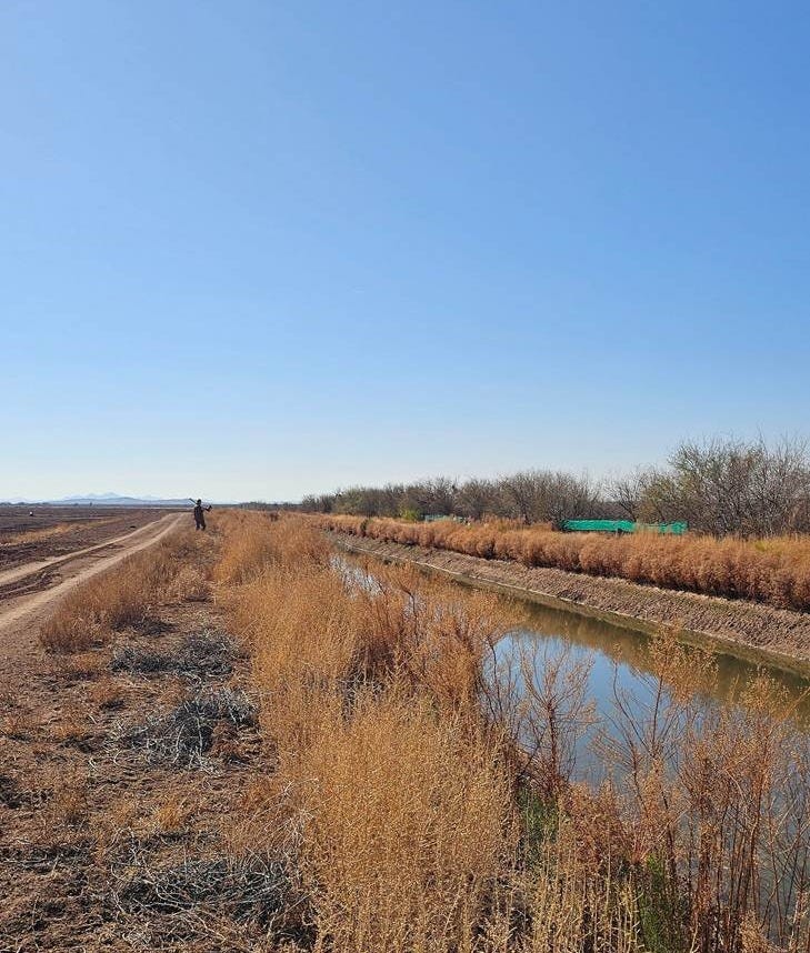 A water channel in a field

AI-generated content may be incorrect.