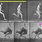 Should Robots Run Like Humans or Ostriches?