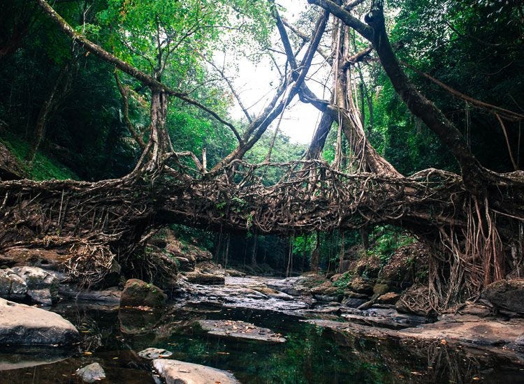 25 Offbeat Destinations in India | Lesser Known Places to Visit in India