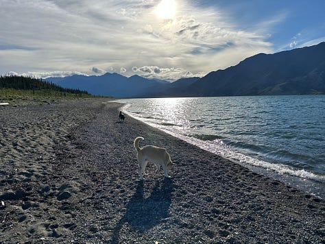 Photos of High peaks and mountain glaciers along the Alcan highway