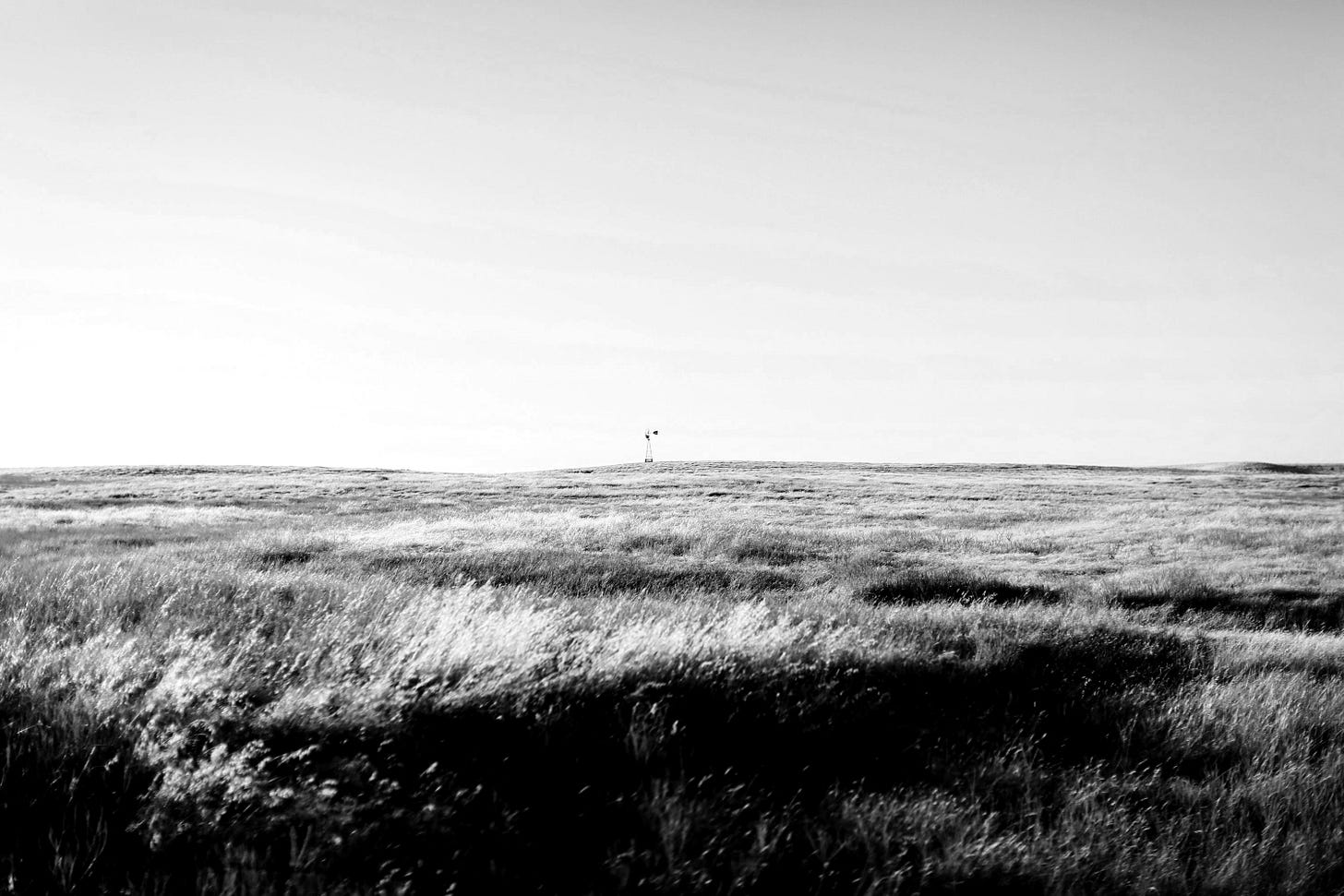 brown grass field under blue sky during daytime brown grass field under blue sky during daytime